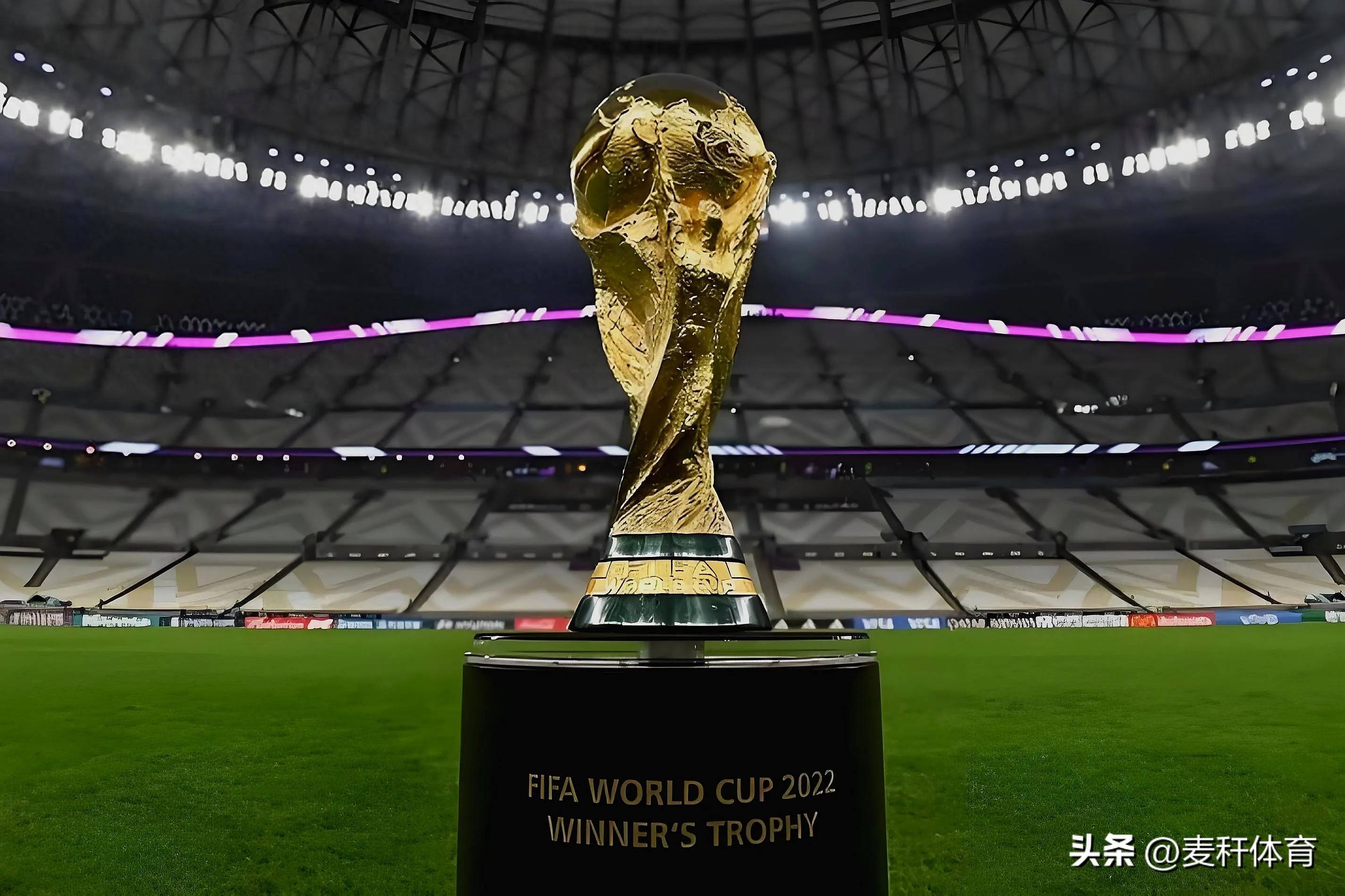 瓦伦西亚本 瓦伦西亚本