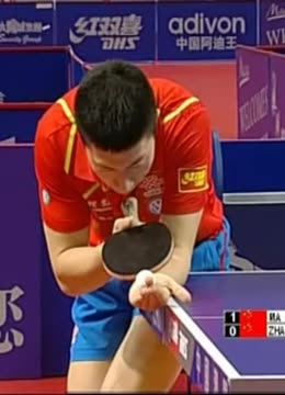 遵循自己的 遵循自己的