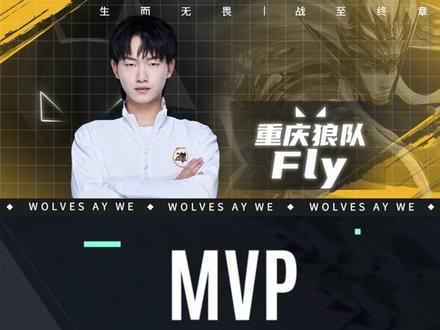 稳定执行力